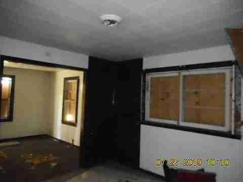 16737 Dolphin (11)_m.jpg